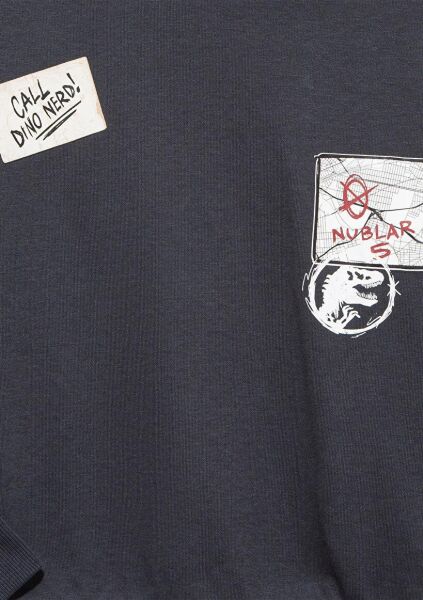 MAVİ JURASSIC PARK BASKILI KAPÜŞONLU SWEATSHIRT ERKEK ÇOCUK SWEATSHIRT