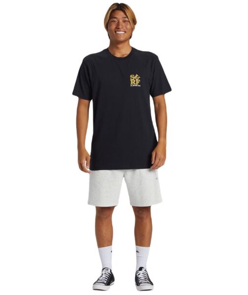 QUIKSILVER SURF MOE ERKEK KISA KOL T-SHIRT