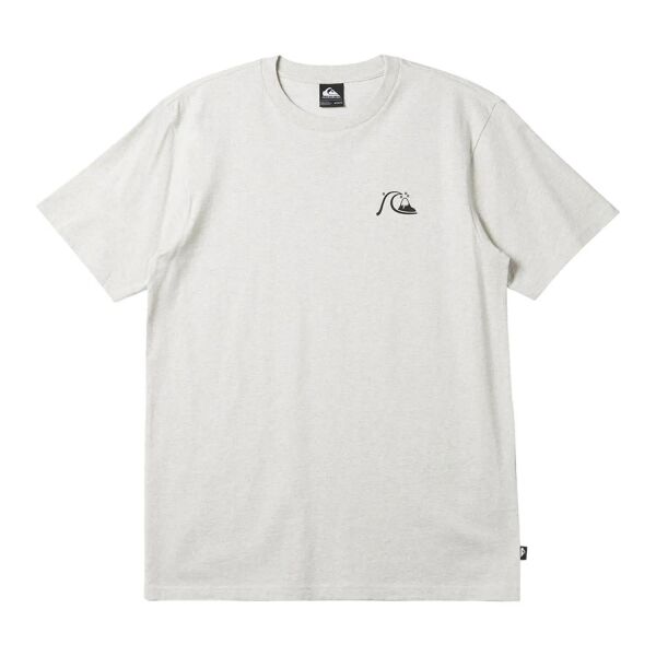 QUIKSILVER QS BUBBLE LOGO DNA ERKEK KISA KOL T-SHIRT
