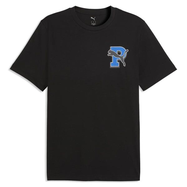 PUMA GRAPHIC TEE ERKEK KISA KOL T-SHIRT