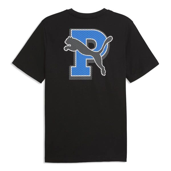 PUMA GRAPHIC TEE ERKEK KISA KOL T-SHIRT