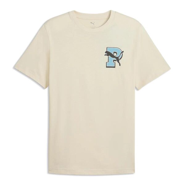 PUMA GRAPHIC TEE ERKEK KISA KOL T-SHIRT