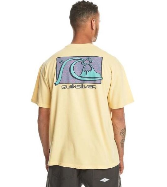 QUIKSILVER TAKE US BACK BUBBLE SS ERKEK KISA KOL T-SHIRT