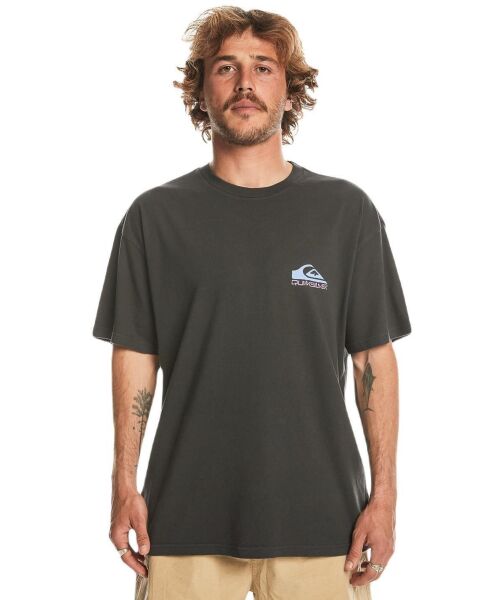 QUIKSILVER TAKE US BACK LOGO SS ERKEK KISA KOL T-SHIRT