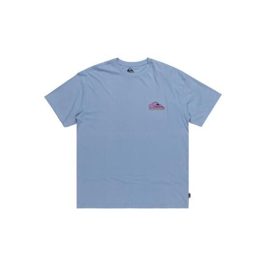 QUIKSILVER TAKE US BACK LOGO SS ERKEK KISA KOL T-SHIRT