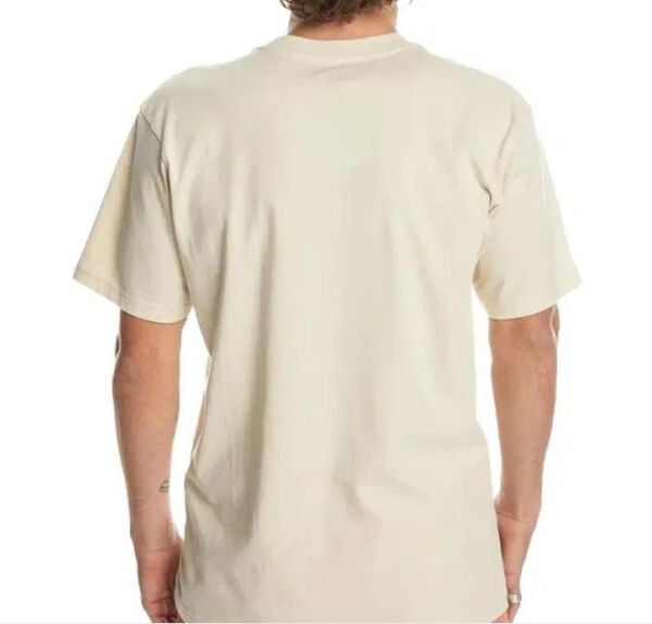 QUIKSILVER NEVERENDING SURF SS ERKEK KISA KOL T-SHIRT