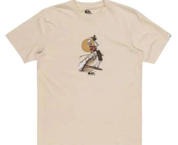 QUIKSILVER NEVERENDING SURF SS ERKEK KISA KOL T-SHIRT