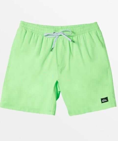 QUIKSILVER EVERYDAY SOLID VOLLEY 15 ERKEK ŞORT
