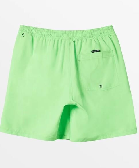 QUIKSILVER EVERYDAY SOLID VOLLEY 15 ERKEK ŞORT