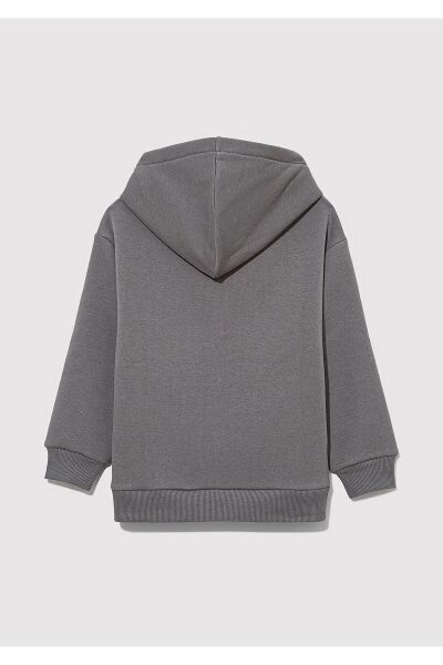 MAVİ ŞİRİNLER BASKILI KAPÜŞONLU SWEATSHIRT ERKEK ÇOCUK SWEATSHIRT