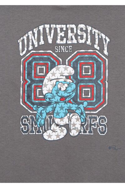 MAVİ ŞİRİNLER BASKILI KAPÜŞONLU SWEATSHIRT ERKEK ÇOCUK SWEATSHIRT