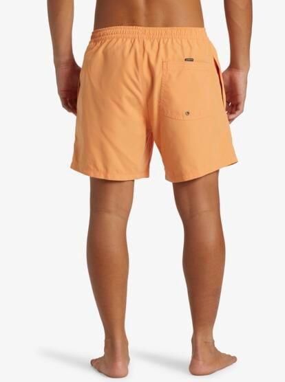 QUIKSILVER EVERYDAY SOLID VOLLEY 15 ERKEK ŞORT