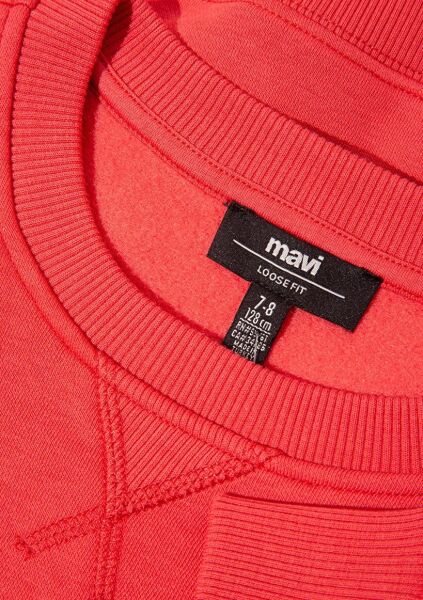 MAVİ NATURE ROAMS ON BASKILI ERKEK ÇOCUK SWEATSHIRT