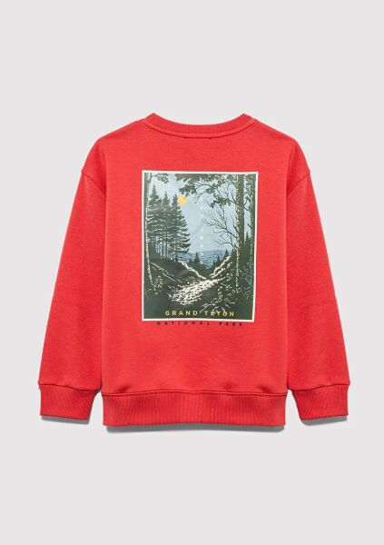 MAVİ NATURE ROAMS ON BASKILI ERKEK ÇOCUK SWEATSHIRT